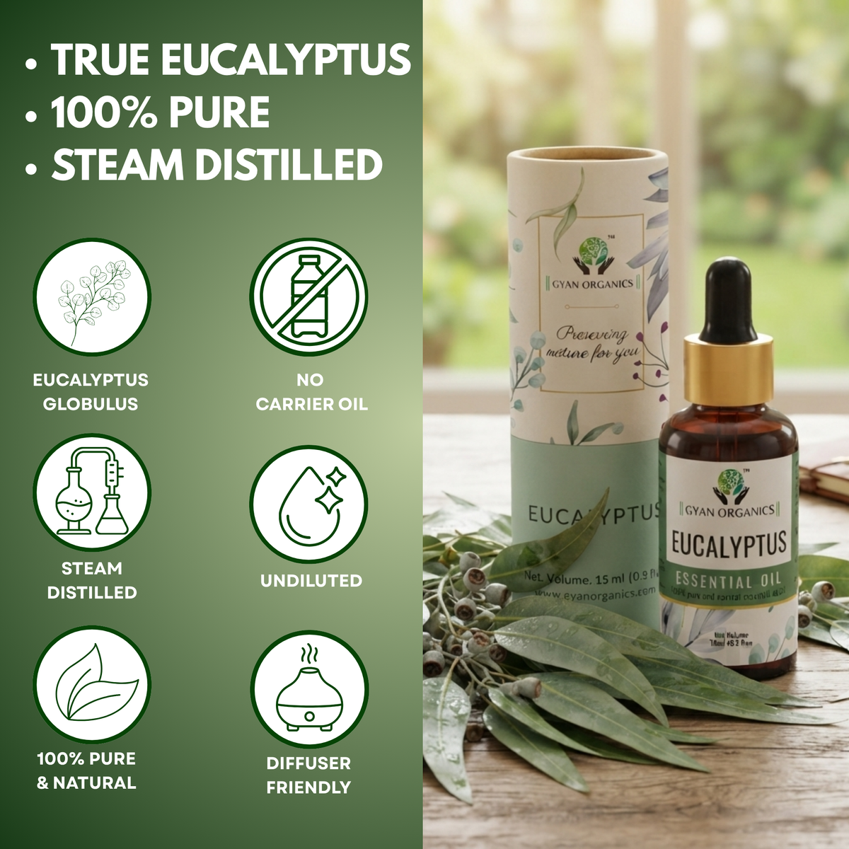 Eucalyptus Essential oil